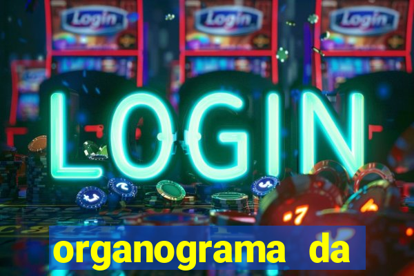 organograma da cacau show